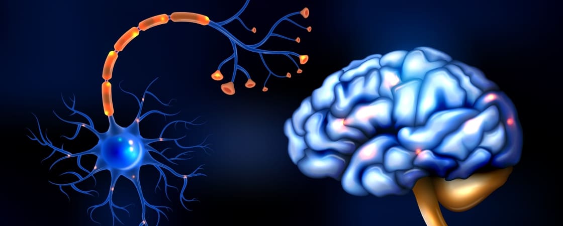 Department of Physiology