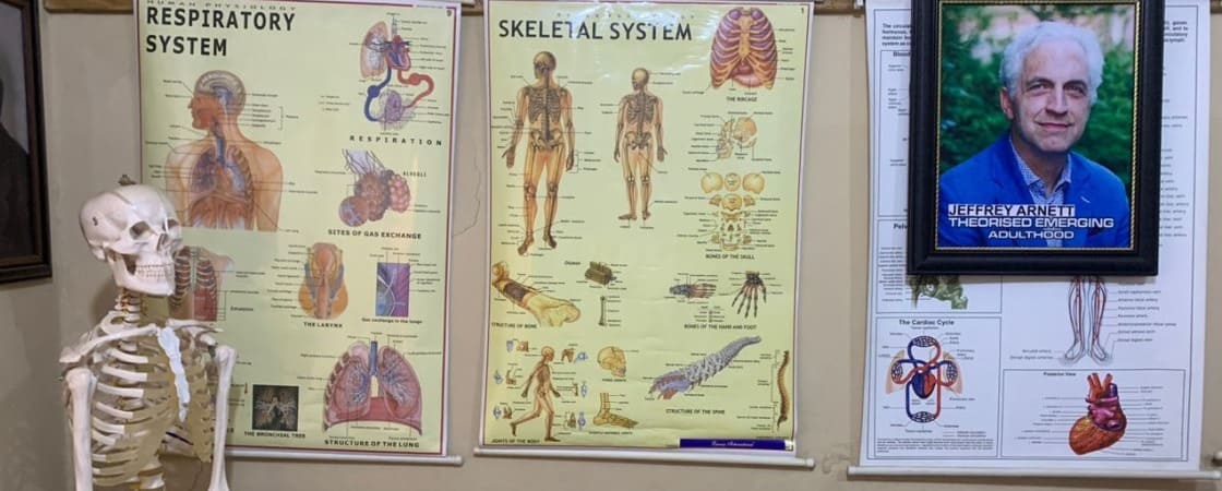 Department of Psychology