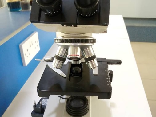 microscope